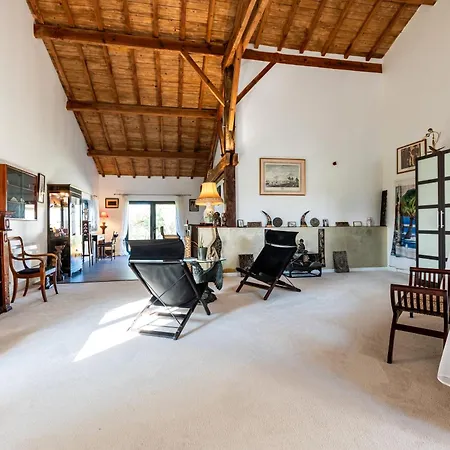 Le Palmier Exotique - Bed & Breakfast Bazas