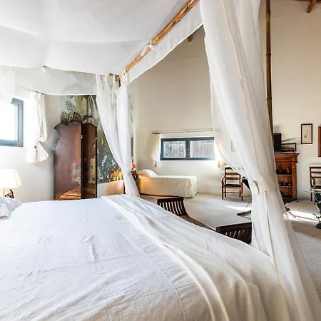 Le Palmier Exotique - 3*