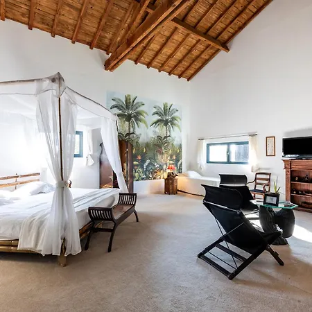 Le Palmier Exotique - 3* Bazas