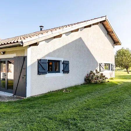 Le Palmier Exotique -