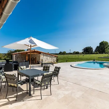 Le Palmier Exotique - Bazas