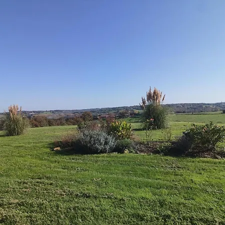 Le Palmier Exotique - Bed & Breakfast 3*