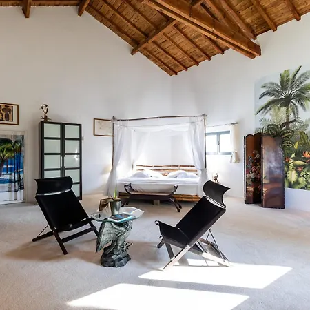 Bed and Breakfast Le Palmier Exotique - 3*