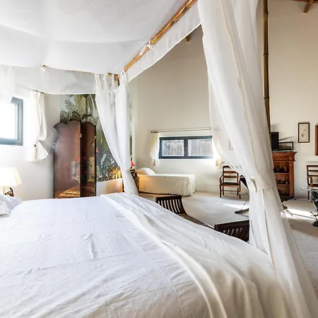 Bed and Breakfast Le Palmier Exotique - Bazas