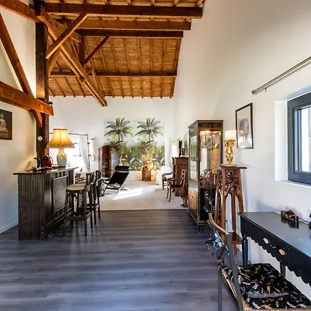Le Palmier Exotique - Bed and Breakfast 3*