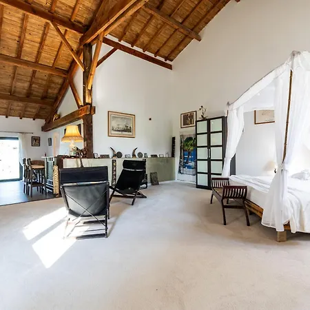 Le Palmier Exotique - Bed and Breakfast 3*