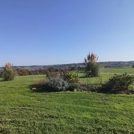 Le Palmier Exotique - Bed and Breakfast