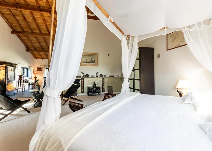 Le Palmier Exotique - 3*