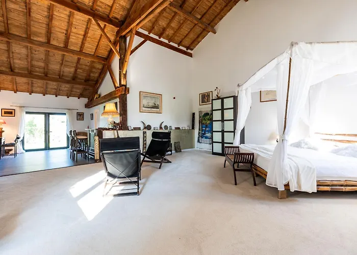 Le Palmier Exotique - 3* بازاس