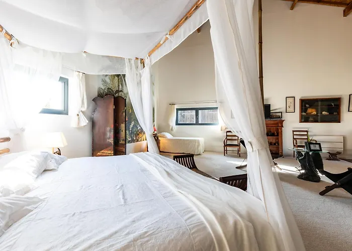 Le Palmier Exotique - 3*