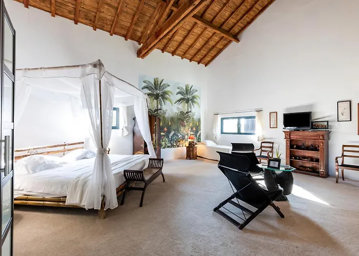 Le Palmier Exotique - 3* بازاس